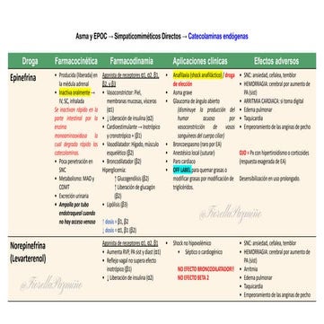 Farmacos del sistema respiratorio - FARMACOLOGIA II PARCIAL COMPLETO | PPTX