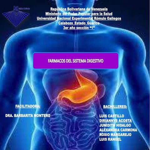 Procinéticos y Antieméticos.pdf en resumen | PDF