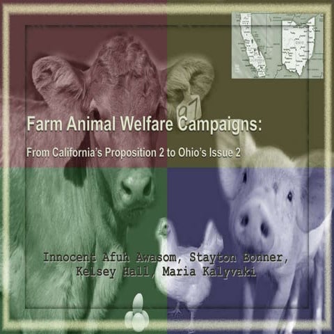 Farm Program Animal Welfare : Farm animal welfare as a key element of ...