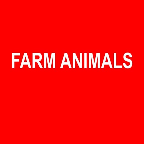 Farm animals Flashcards 