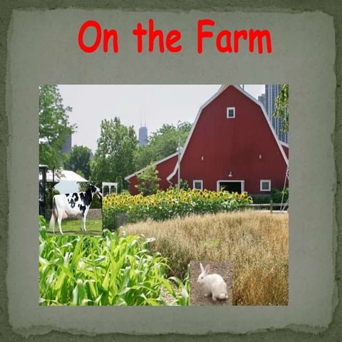 Farm animals pp new program