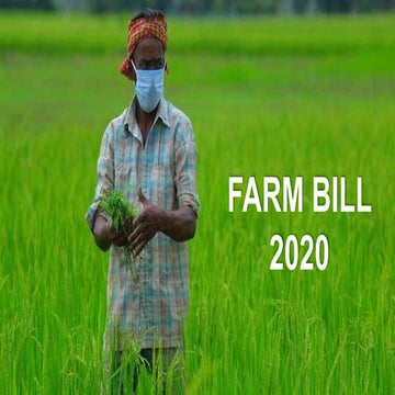 Farm bill 2020