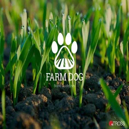 Farm Dog Brand Book