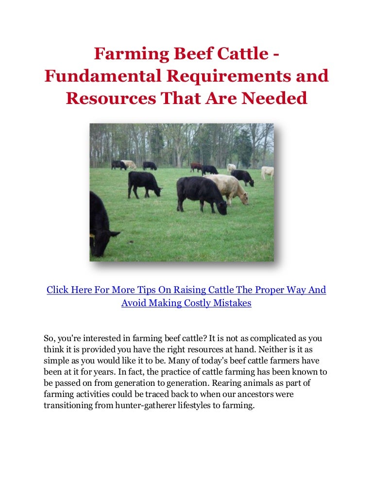 Farming Beef Cattle Fundamental Requirements and Resources That Are…