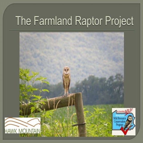 Farmland raptors | PPTX