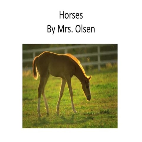 Fool Donkey | DOCX