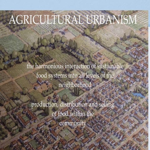 New Ruralism | PPTX