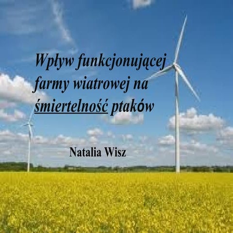 Farmy wiatrowe a ptaki