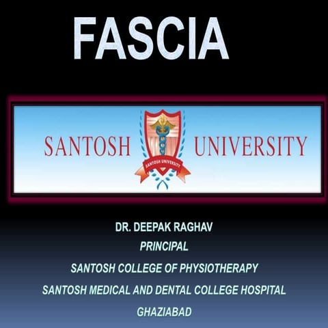 Fascia
