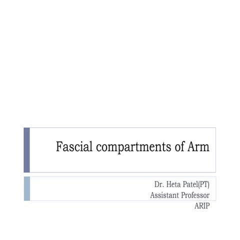Fascial compartments of arm