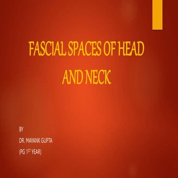 fascial space.pptx