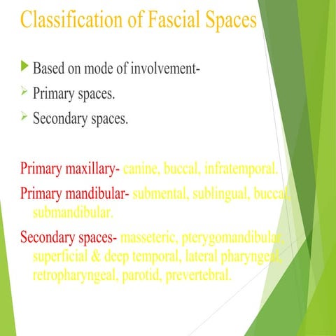 Primary spaces of space infection | PPTX