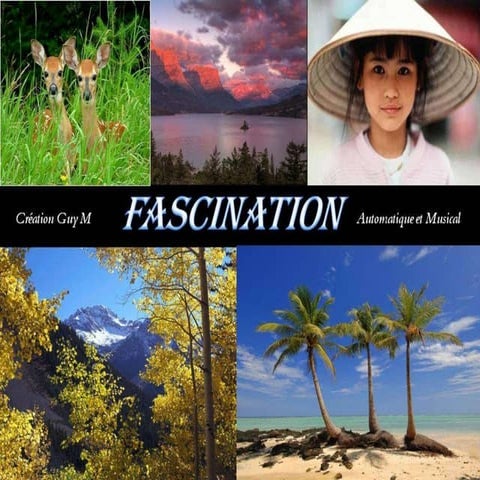 Fascination of the nature vu | PPS