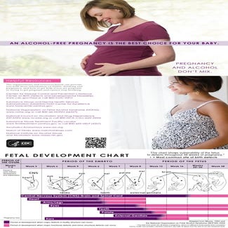 Fasd brochure final-508