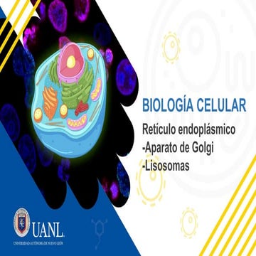 RETICULO ENDOPLASMATICO LISO Y RUGOSO_20240209_010234_0000.PDF
