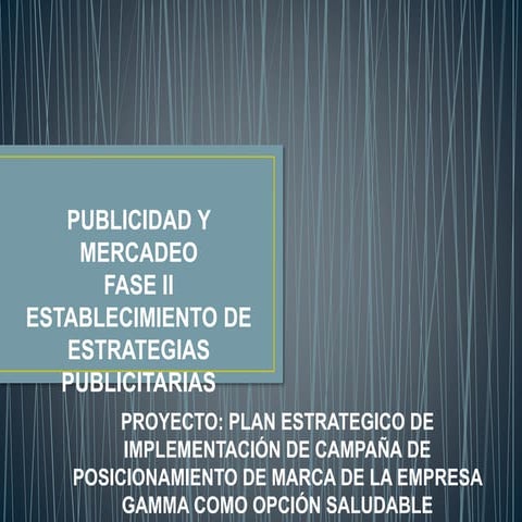 Fase 2 establecimiento de estrategias publicitarias