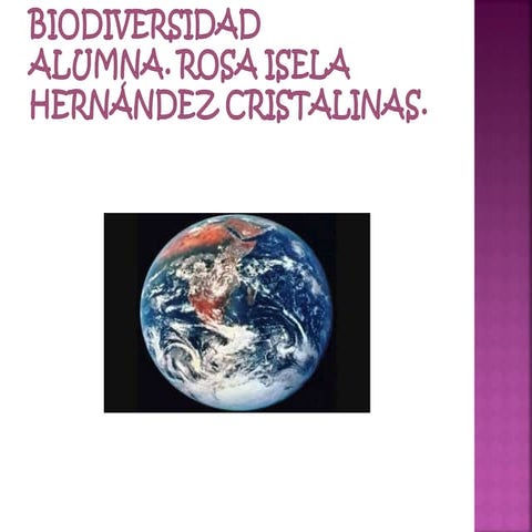 Fase3 rihc diapositivas