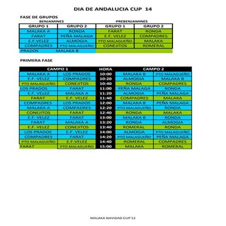 Fase grupos benjamin y prebenjamin,...