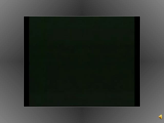 Fases Da 2ª Guerra Mundial