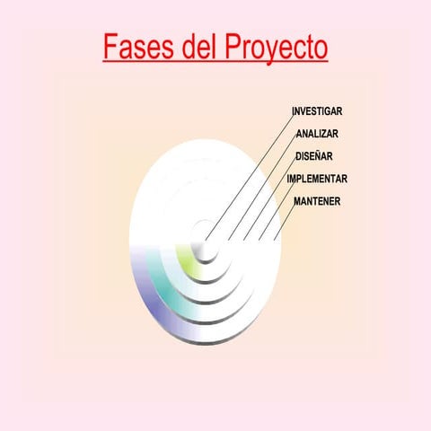 Fases Del Proyecto Sig