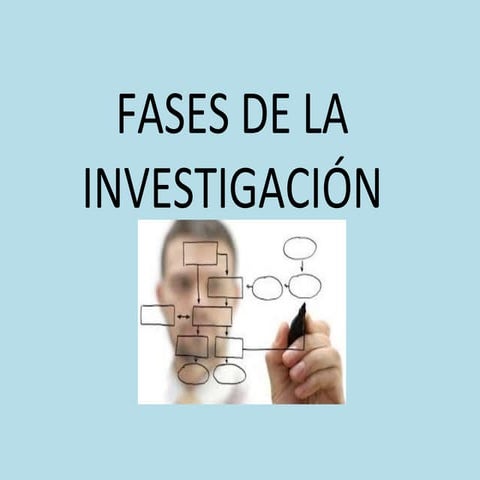 Fases de la investigación