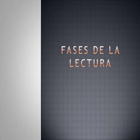 Fases de la Lectura