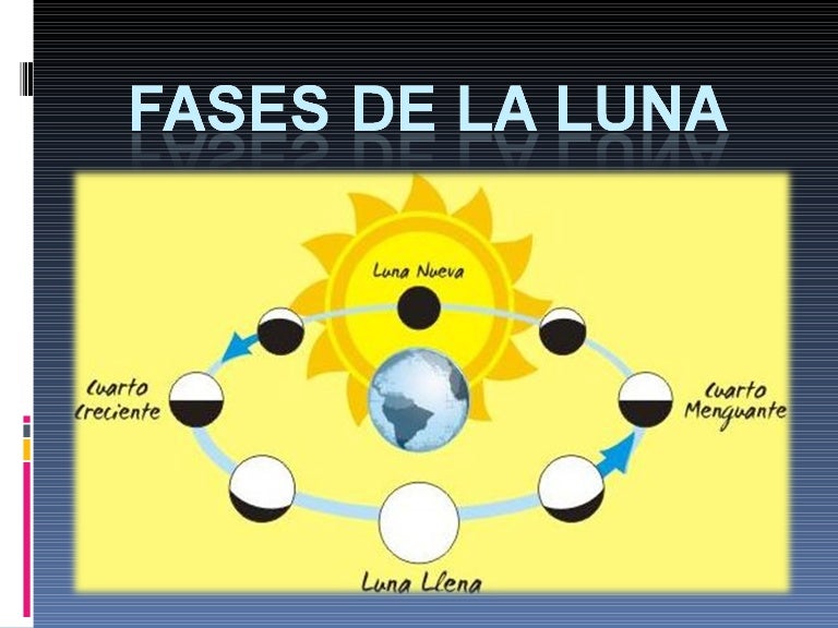 Fases de la luna