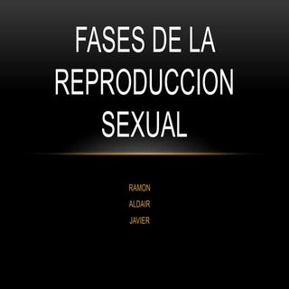 Fases de la reproduccion sexual