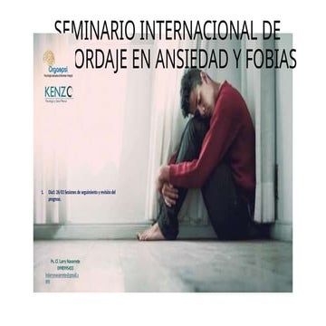 fases de la terapia breve para atencion.pptx