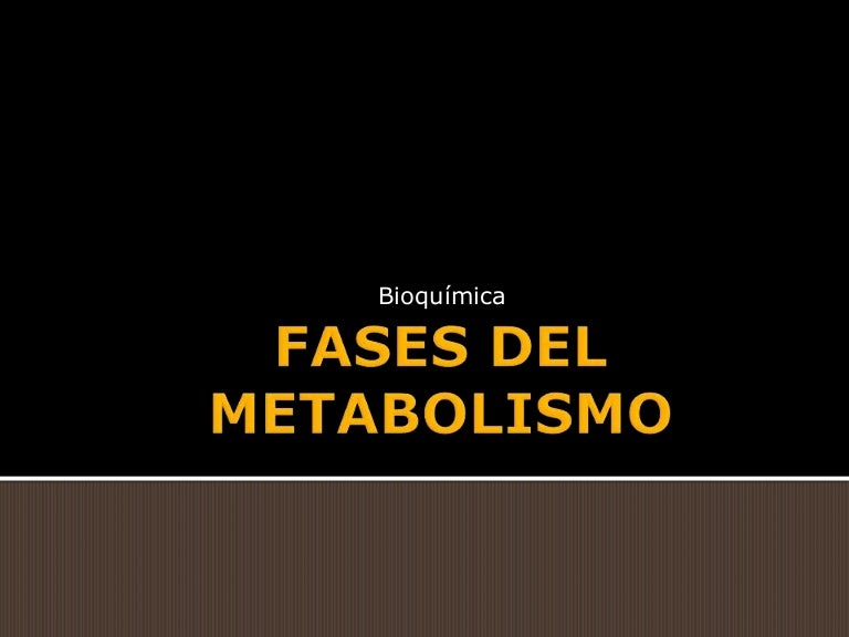 Qué son higado metabolismo ?