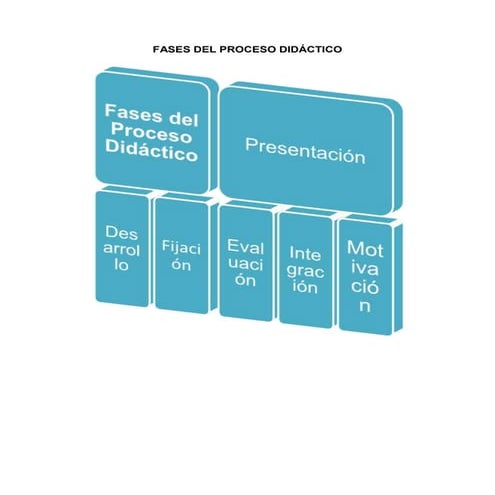 Fases del proceso didáctico