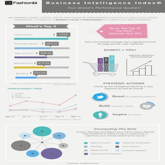 Business Intelligence Index ® | PDF