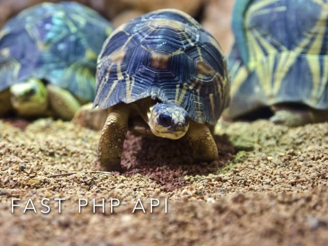 Fast api