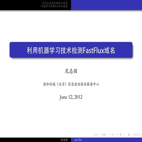 Fast flux domain detection