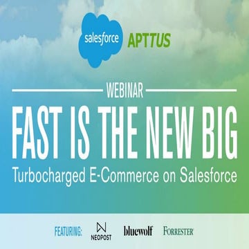 Fast Is The New Big: Turbocharged E-Commerce on Salesforce