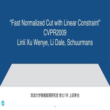 Fast normalized cut with linear constraint (CVPR2009)