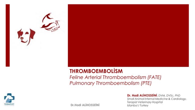 Feline Arterial Thromboembolism | PDF