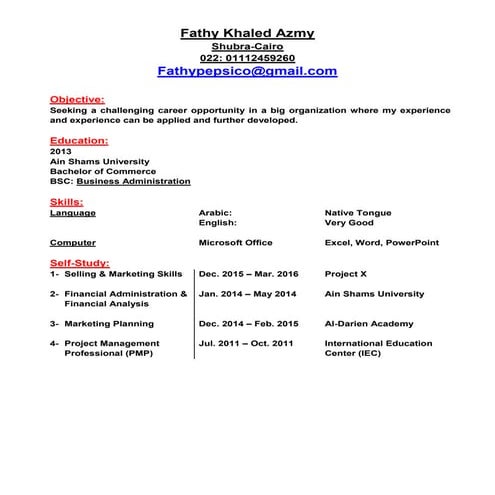 Fathy khaled azmy sales analyst