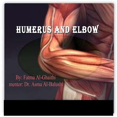 Fatima Al Ghaithi Case Serise March  2nd