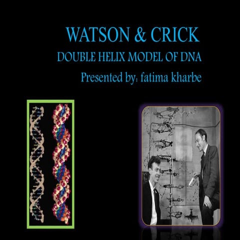 Fatima kharbe watson n crick model of dna