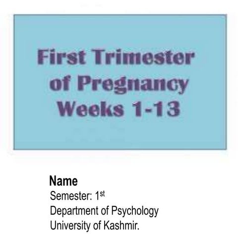 First Trimester Of Pregnancy.
