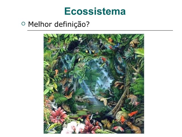 Fatores bioticos e abioticos