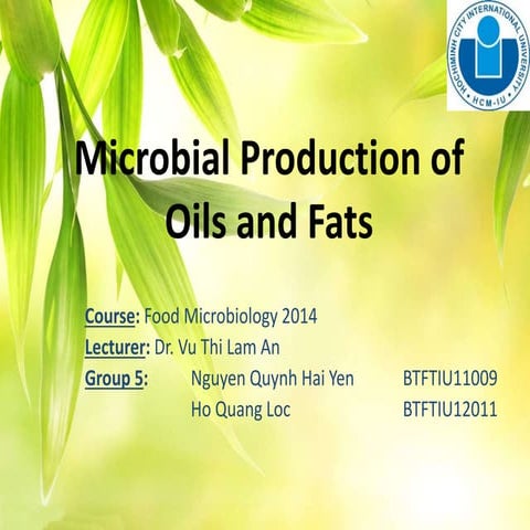 Fats and oils production by microorganisms