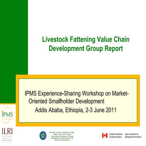 IPMS experience sharing workshop: Cattle fattening group report