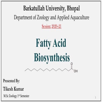 Fatty Acid Biosynthesis