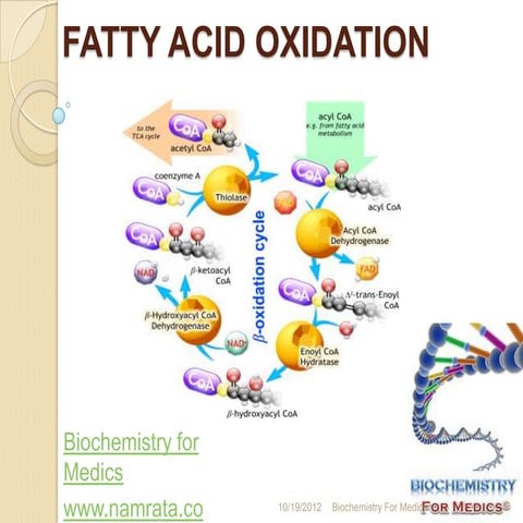 Fatty acid oxidation