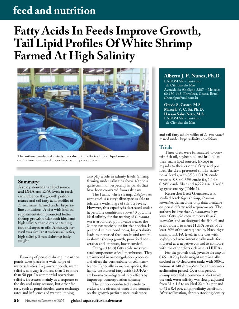 Fatty Acids In Feeds Improve Growth, Tail Lipid Profiles Of White Shr…