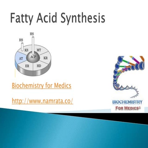 Fatty acid synthesis