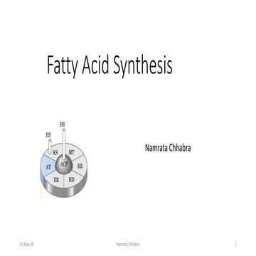 Fatty acid synthesis  revised version