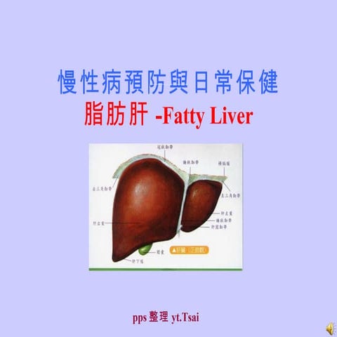 脂肪肝   Fatty Liver